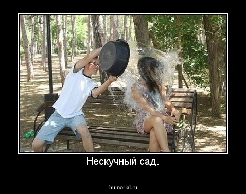 Нескучный сад.