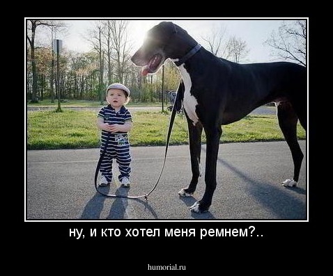 ну, и кто хотел меня ремнем?..