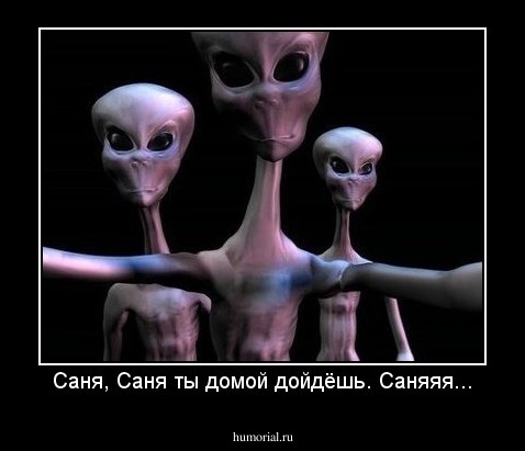 Саня, Саня ты домой дойдёшь. Саняяя...