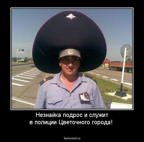 Незнайка подрос и служит в полиции Цветочного города!