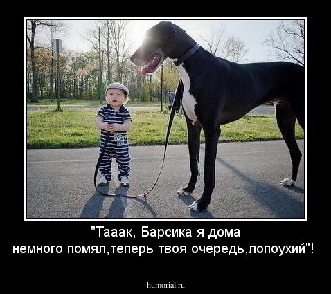 "Тааак, Барсика я дома немного помял,теперь твоя очередь,лопоухий"!
