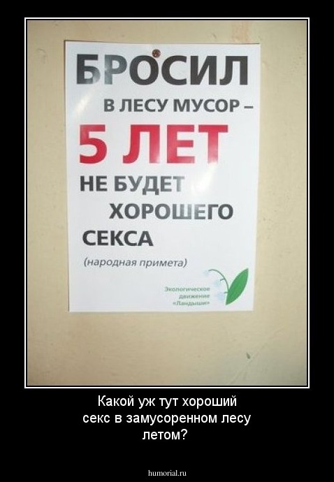 Какой уж тут хороший секс в замусоренном лесу летом?