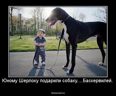 Юному Шерлоку подарили собаку....Баскервилей.