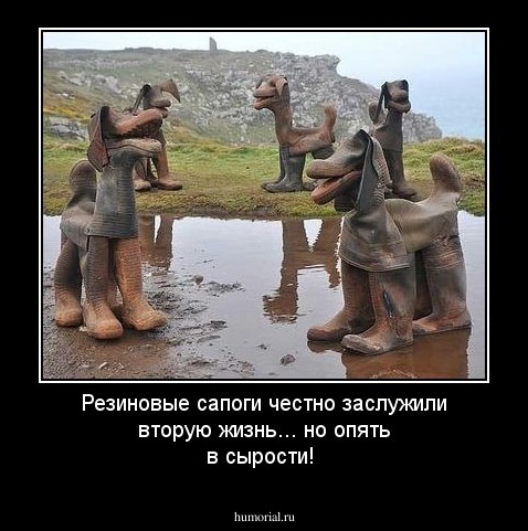 Резиновые сапоги честно заслужили вторую жизнь... но опять в сырости!