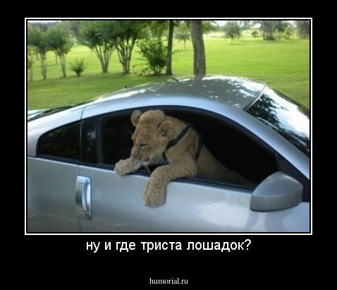 ну и где триста лошадок?