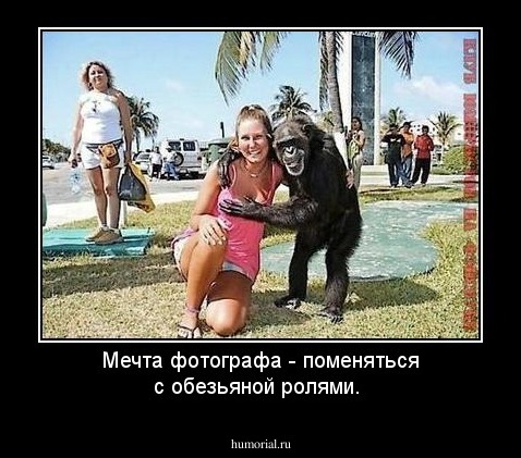 Мечта фотографа - поменяться с обезьяной ролями.
