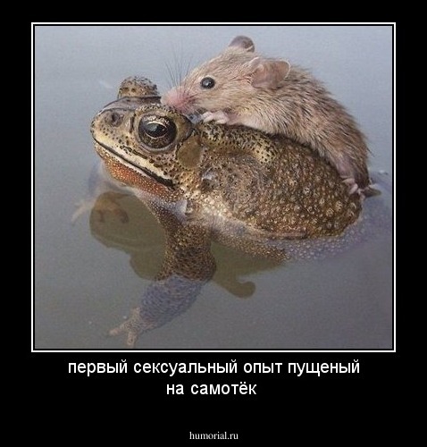 первый сексуальный опыт пущеный на самотёк
