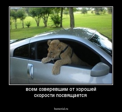 всем озверевшим от хорошей скорости посвящается