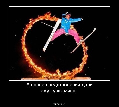 А после представления  дали ему кусок мясо.