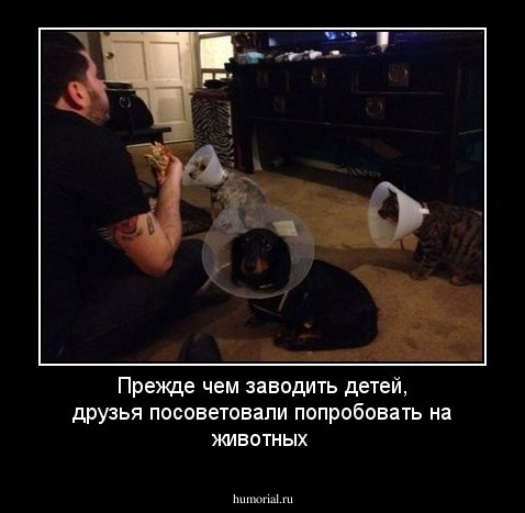 Прежде чем заводить детей, друзья посоветовали попробовать на животных