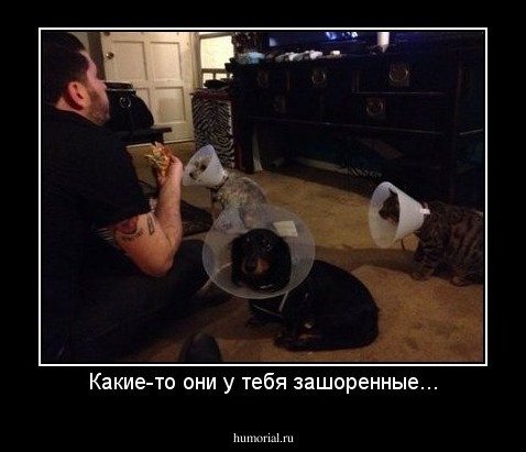Какие-то они у тебя зашоренные...