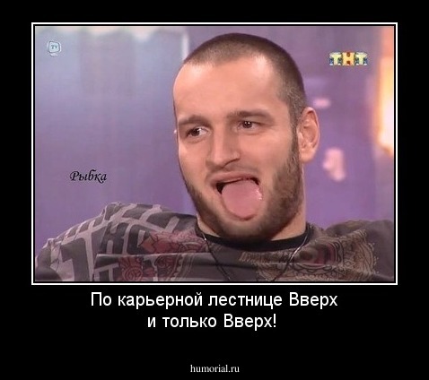 По карьерной лестнице Вверх и только Вверх!