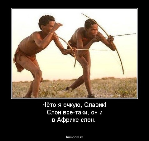 Чёто я очкую, Славик! Слон все-таки, он и в Африке слон.