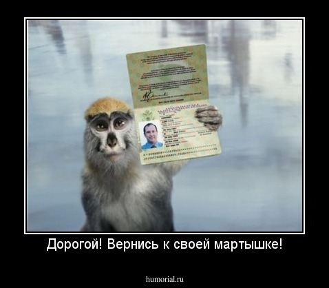 Дорогой! Вернись к своей мартышке!
