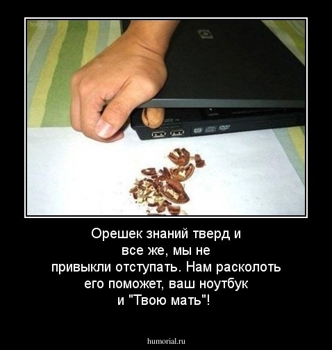 Орешек знаний тверд и все же, мы не привыкли отступать. Нам расколоть его поможет, ваш ноутбук и "Твою мать"!