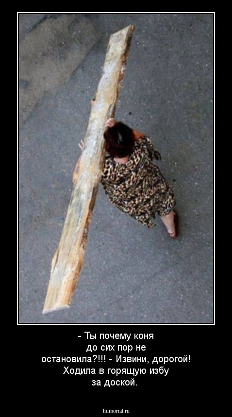 - Ты почему коня до сих пор не остановила?!!!
- Извини, дорогой! Ходила в горящую избу за доской. 