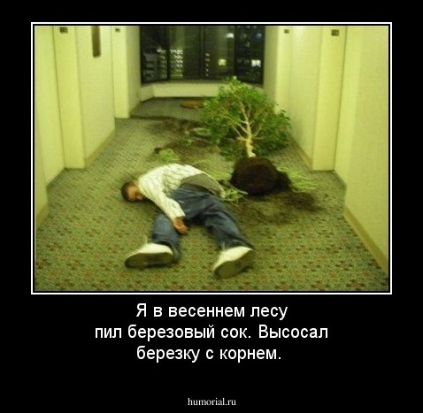 Я в весеннем лесу пил березовый сок. Высосал березку с корнем. 