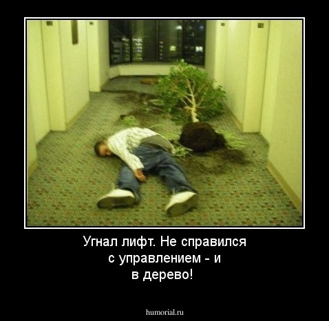 Угнал лифт. Не справился с управлением - и в дерево!