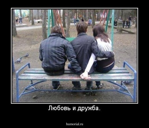 Любовь и дружба.