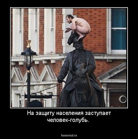 На защиту населения заступает человек-голубь. 