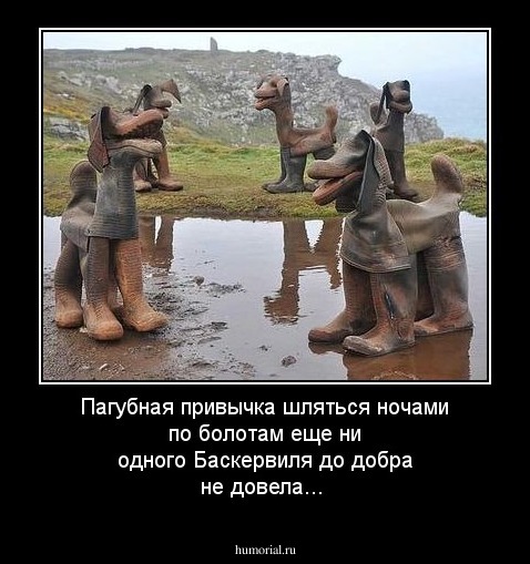 Пагубная привычка шляться  ночами  по болотам еще ни одного Баскервиля до добра не довела... 