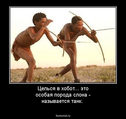 Целься в хобот... это особая порода слона - называется танк.