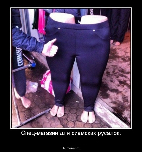 Спец-магазин для сиамских русалок.