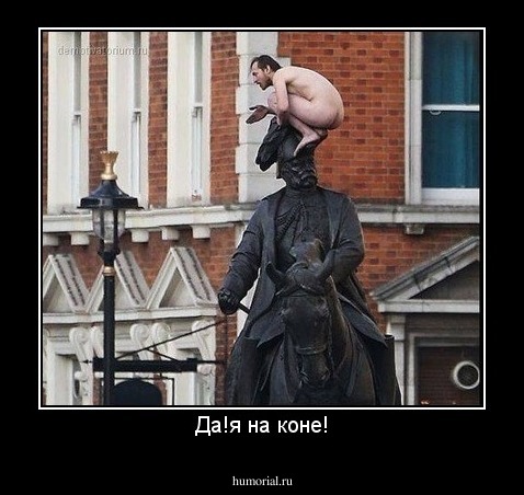 Да!я на коне!