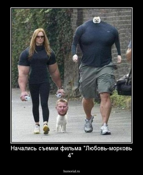 Начались съемки фильма "Любовь-морковь 4"