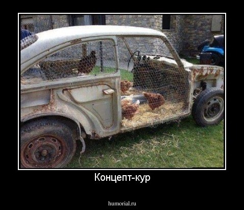 Концепт-кур