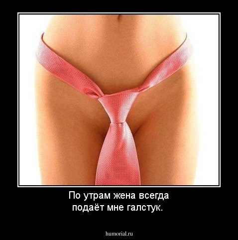 По утрам жена всегда  подаёт мне  галстук.