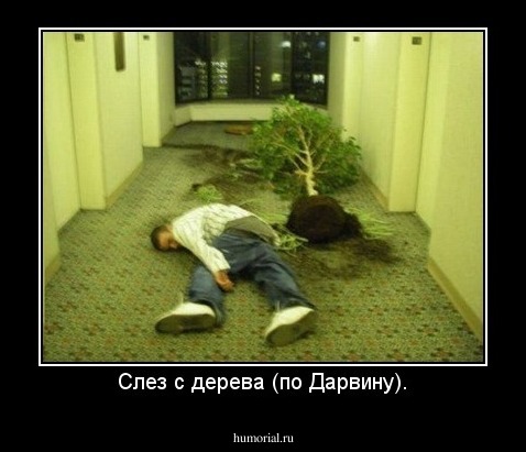 Слез с дерева (по Дарвину).