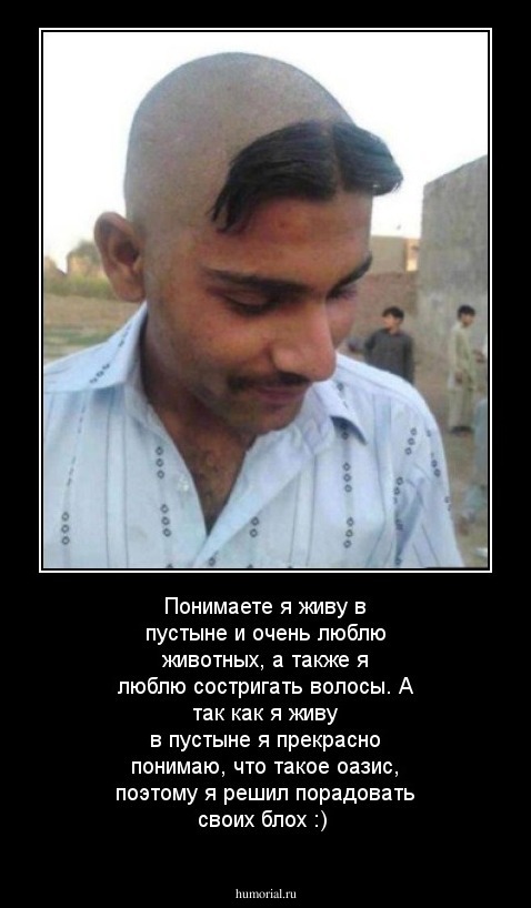 Понимаете я живу в пустыне и очень люблю животных, а также я люблю состригать волосы. А так как я живу в пустыне я прекрасно понимаю, что такое оазис, поэтому я решил порадовать своих блох :)