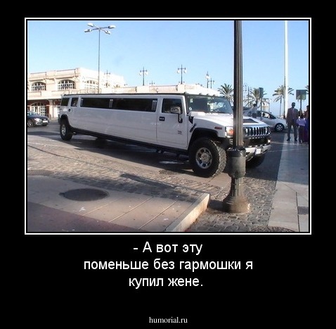 - А вот эту поменьше без гармошки я купил жене.