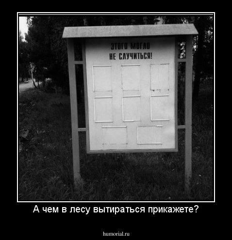 А чем в лесу вытираться прикажете?
