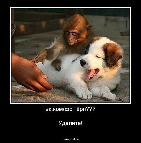 вк.ком/фо гёрл???

Удалите!