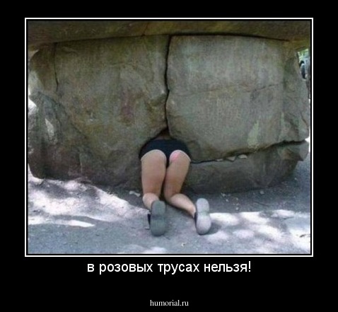 в розовых трусах нельзя!