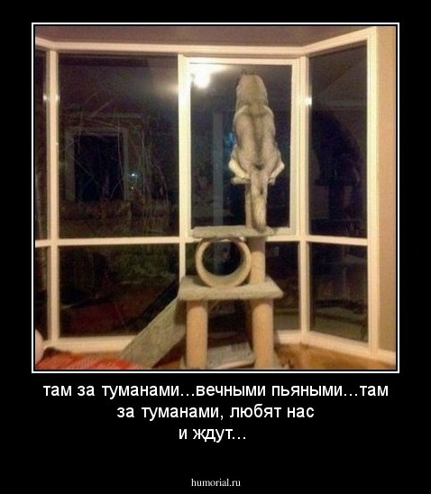 там за туманами...вечными пьяными...там за туманами, любят нас и ждут...