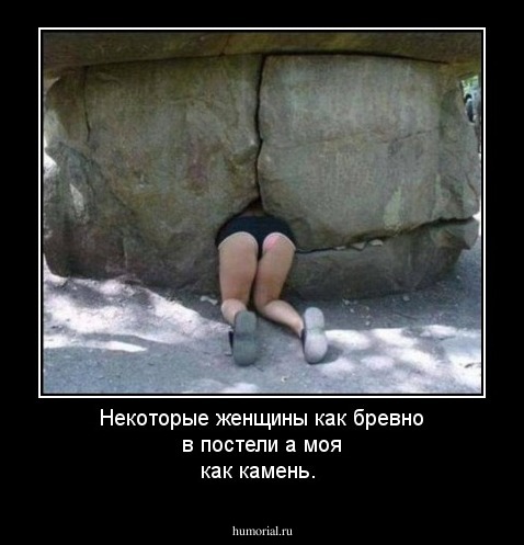 Некоторые женщины как бревно в постели а моя как камень.