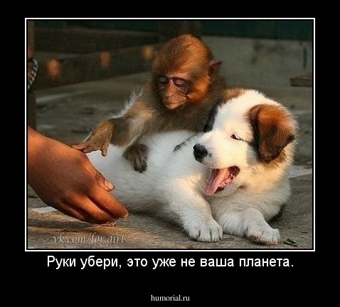 Руки убери, это уже не ваша планета.