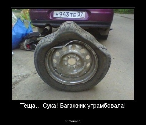 Тёща... Сука! Багажник утрамбовала!