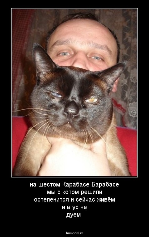 на шестом Карабасе Барабасе мы с котом решили остепенится и сейчас живём и в ус не дуем