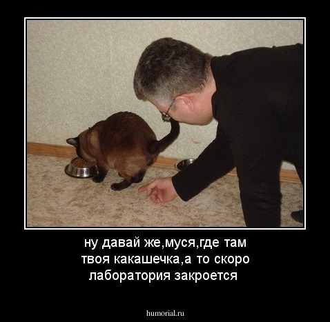 ну давай же,муся,где там твоя какашечка,а то скоро лаборатория закроется