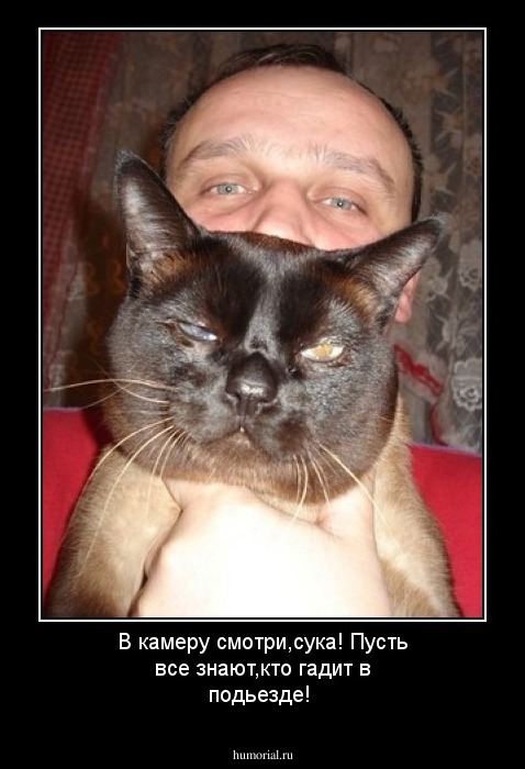 В камеру смотри,сука! Пусть все знают,кто гадит в подьезде!