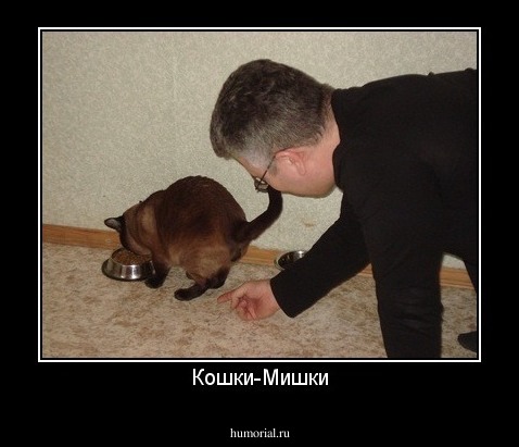 Кошки-Мишки