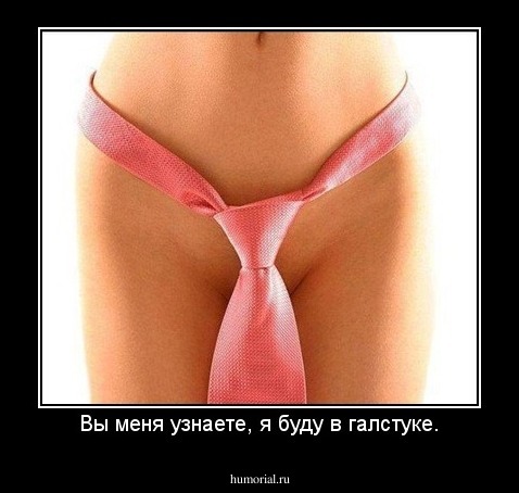 Вы меня узнаете, я буду в галстуке.