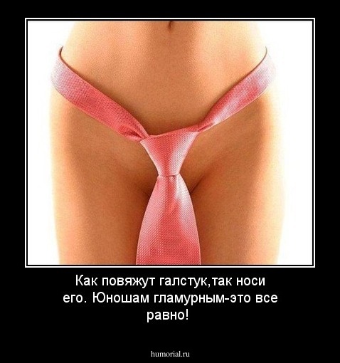 Как повяжут галстук,так носи его.
Юношам гламурным-это все равно!