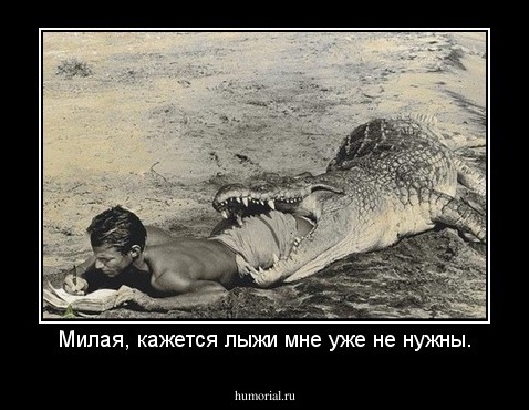 Милая, кажется лыжи мне уже не нужны.