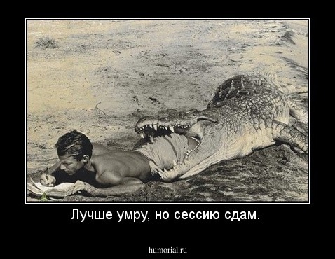 Лучше умру, но сессию сдам. 