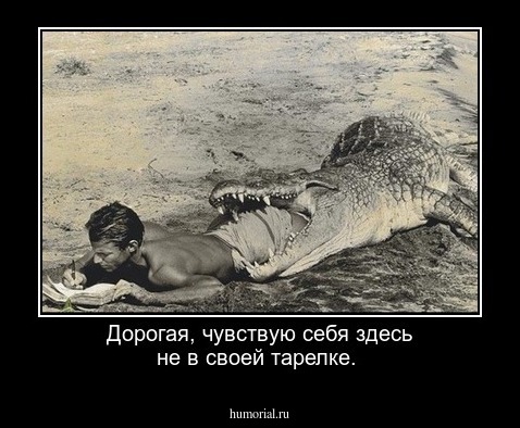 Дорогая, чувствую себя здесь не в своей тарелке.